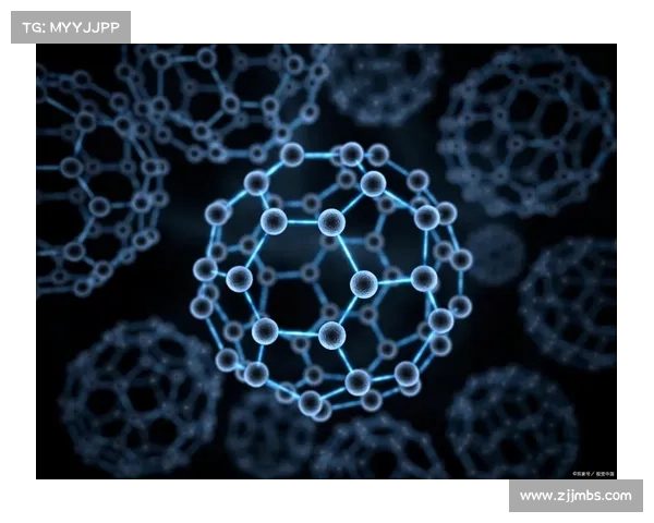 布朗如何看待霍勒迪交易的深度解析与影响分析